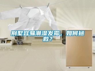 企業(yè)新聞別墅容易潮濕發(fā)霉，如何拯救？