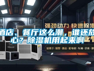 行業(yè)新聞酒店、餐廳這么潮，誰還放心？除濕機(jī)用起來啊