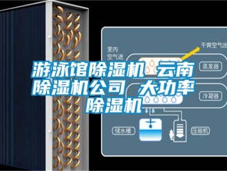 行業新聞游泳館除濕機 云南除濕機公司 大功率除濕機
