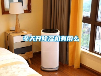 行業(yè)新聞冬天開除濕機有用么