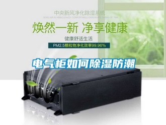 企業(yè)新聞電氣柜如何除濕防潮