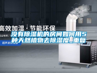 行業新聞沒有除濕機的房間如何用5種天然植物去除濕度_重復