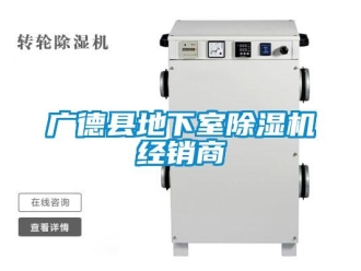 行業新聞廣德縣地下室除濕機經銷商