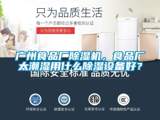 行業新聞廣州食品廠除濕機，食品廠太潮濕用什么除濕設備好？