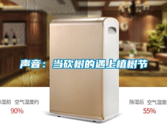 知識百科聲音：當砍樹的遇上植樹節