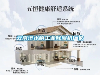 企業新聞云南漭水鎮工業除濕機廠家