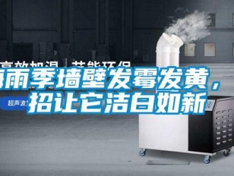 行業新聞梅雨季墻壁發霉發黃，4招讓它潔白如新