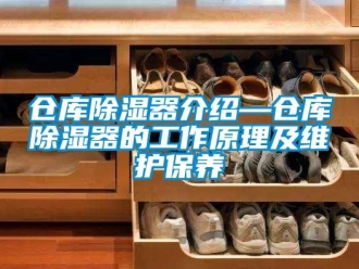 企業新聞倉庫除濕器介紹—倉庫除濕器的工作原理及維護保養