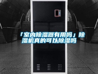 企業新聞「室內除濕器有用嗎」除濕機真的可以除濕嗎