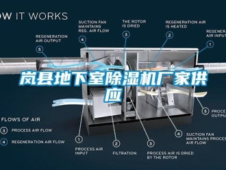 企業(yè)新聞嵐縣地下室除濕機(jī)廠家供應(yīng)