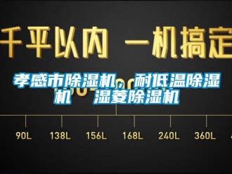 行業(yè)新聞孝感市除濕機，耐低溫除濕機  濕菱除濕機