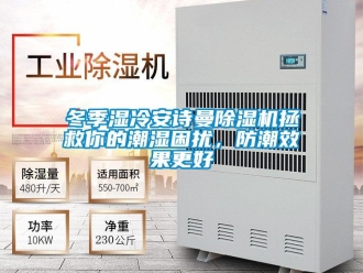 企業(yè)新聞冬季濕冷安詩曼除濕機(jī)拯救你的潮濕困擾，防潮效果更好