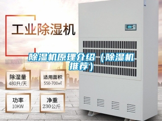 行業(yè)新聞除濕機(jī)原理介紹（除濕機(jī)推薦）