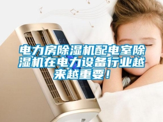 企業新聞電力房除濕機配電室除濕機在電力設備行業越來越重要！