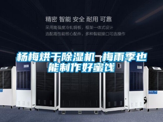 知識百科楊梅烘干除濕機(jī) 梅雨季也能制作好蜜餞