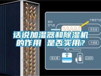 行業新聞話說加濕器和除濕機的作用 是否實用？