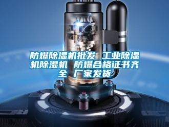 企業(yè)新聞防爆除濕機批發(fā) 工業(yè)除濕機除濕機 防爆合格證書齊全 廠家發(fā)貨
