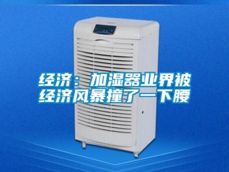 行業(yè)新聞經(jīng)濟(jì)：加濕器業(yè)界被經(jīng)濟(jì)風(fēng)暴撞了一下腰