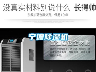 行業(yè)新聞寧德除濕機(jī)