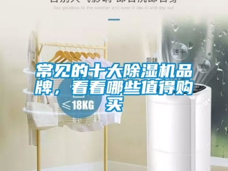 企業(yè)新聞常見的十大除濕機品牌，看看哪些值得購買