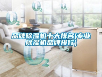 企業新聞品牌除濕機十大排名(專業除濕機品牌排行)