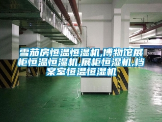 知識(shí)百科雪茄房恒溫恒濕機(jī),博物館展柜恒溫恒濕機(jī),展柜恒濕機(jī),檔案室恒溫恒濕機(jī)