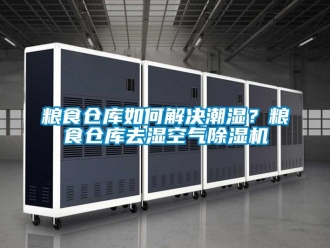 企業新聞糧食倉庫如何解決潮濕？糧食倉庫去濕空氣除濕機