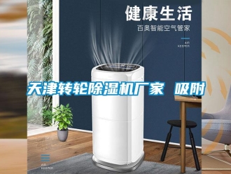 企業(yè)新聞天津轉(zhuǎn)輪除濕機(jī)廠家 吸附