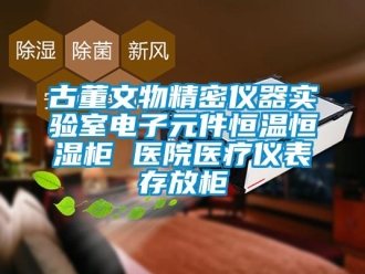 知識百科古董文物精密儀器實驗室電子元件恒溫恒濕柜 醫院醫療儀表存放柜