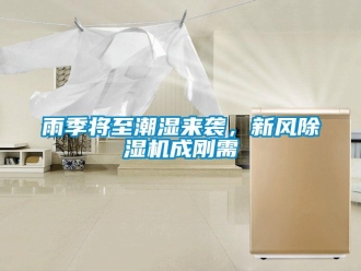 知識百科雨季將至潮濕來襲，新風除濕機成剛需