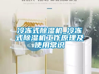 行業(yè)新聞冷凍式除濕機(jī)_冷凍式除濕機(jī)工作原理及使用常識