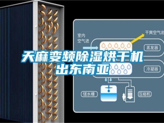 行業(yè)新聞天麻變頻除濕烘干機出東南亞