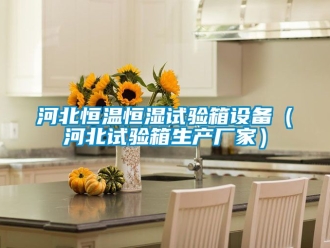 知識(shí)百科河北恒溫恒濕試驗(yàn)箱設(shè)備（河北試驗(yàn)箱生產(chǎn)廠家）