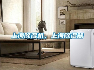 行業(yè)新聞上海除濕機，上海除濕器