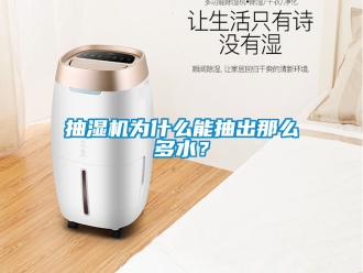 企業新聞抽濕機為什么能抽出那么多水？