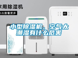 行業(yè)新聞小型除濕機，空氣太潮濕有什么危害