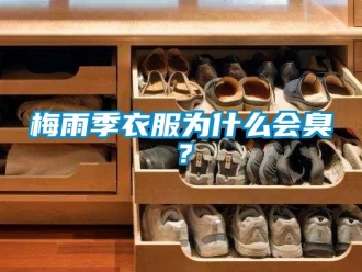 行業新聞梅雨季衣服為什么會臭？