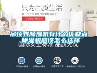 行業新聞吊頂式除濕機有什么優缺點 除濕機應該怎么選擇