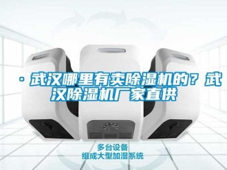 企業新聞·武漢哪里有賣除濕機的？武漢除濕機廠家直供