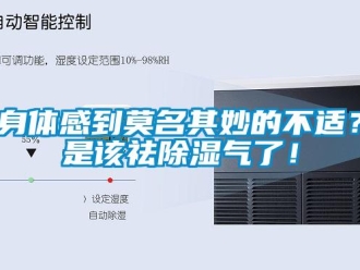 知識(shí)百科身體感到莫名其妙的不適？是該祛除濕氣了！