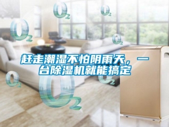 企業新聞趕走潮濕不怕陰雨天，一臺除濕機就能搞定