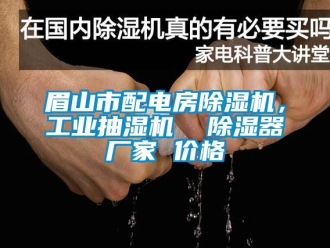 企業(yè)新聞眉山市配電房除濕機，工業(yè)抽濕機  除濕器廠家 價格