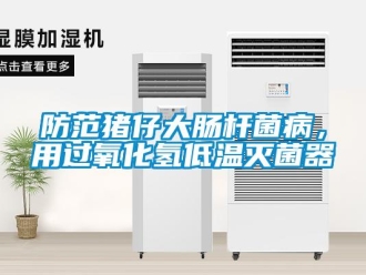 企業新聞防范豬仔大腸桿菌病，用過氧化氫低溫滅菌器