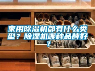 企業(yè)新聞家用除濕機(jī)都有什么類型？除濕機(jī)哪種品牌好？