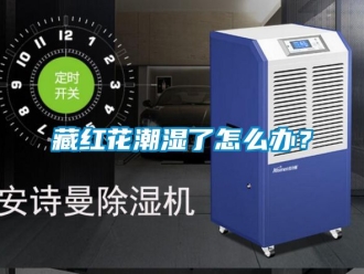 企業新聞藏紅花潮濕了怎么辦？