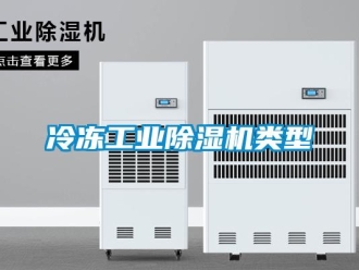 行業(yè)新聞冷凍工業(yè)除濕機(jī)類型