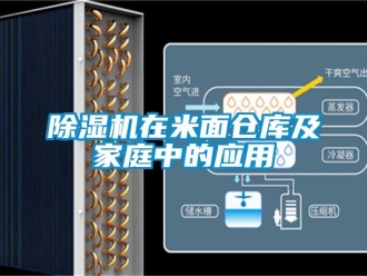 企業(yè)新聞除濕機(jī)在米面?zhèn)}庫及家庭中的應(yīng)用