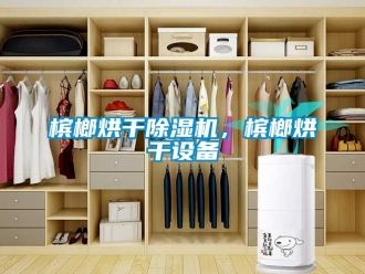 企業(yè)新聞檳榔烘干除濕機(jī)，檳榔烘干設(shè)備