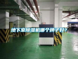 行業新聞地下室除濕機哪個牌子好？