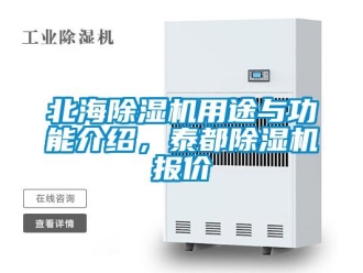 企業新聞北海除濕機用途與功能介紹，泰都除濕機報價